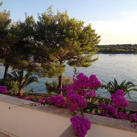 Üdülőközpont Illyrian 4*